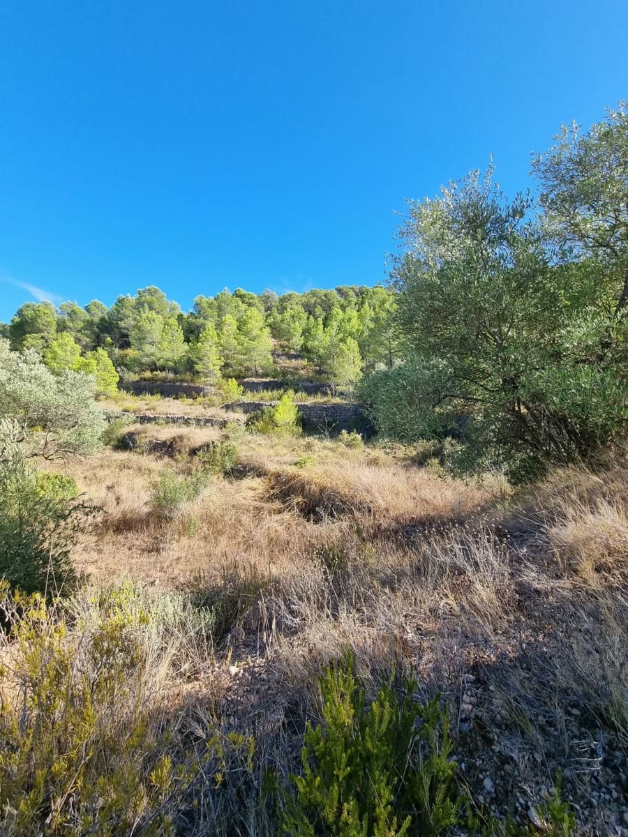 Terreno Não Urbanizado para venda em El Pinell de Brai - 20 000 € (Ref: 10071030)