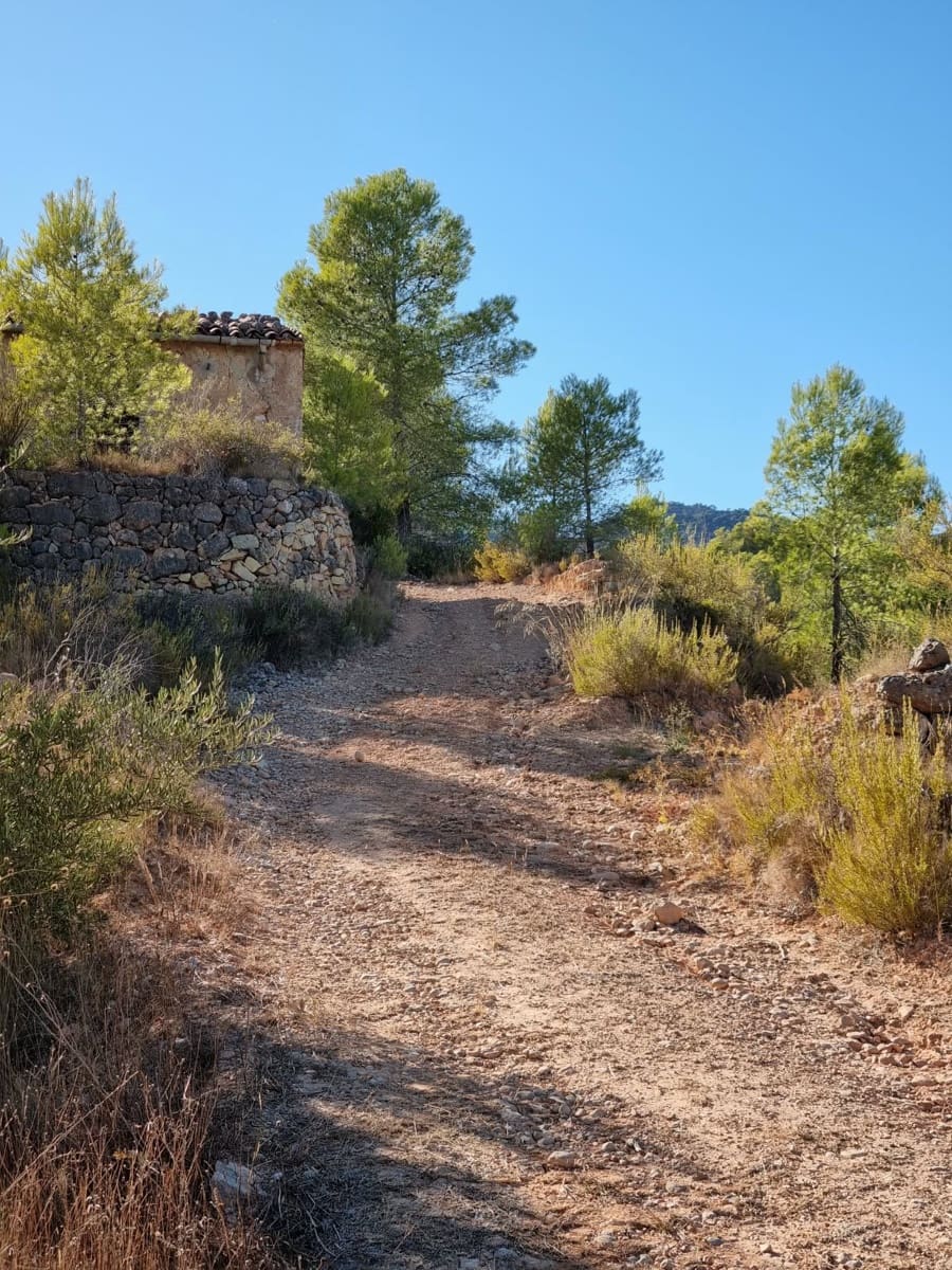 Terreno Não Urbanizado para venda em El Pinell de Brai - 20 000 € (Ref: 10071030)
