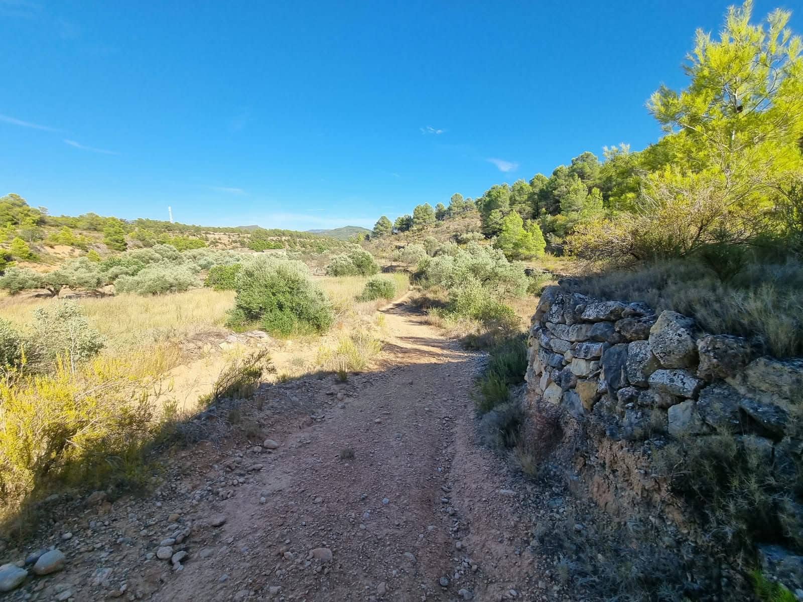 Terreno Não Urbanizado para venda em El Pinell de Brai - 20 000 € (Ref: 10071030)