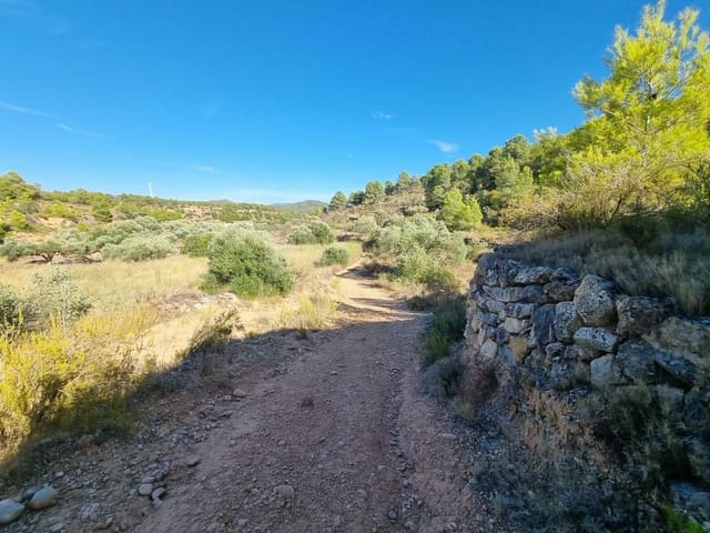 Grond te koop in El Pinell de Brai - € 20.000 (Ref: 10071030)