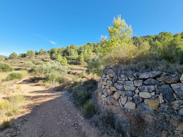 Grond te koop in El Pinell de Brai - € 20.000 (Ref: 10071030)