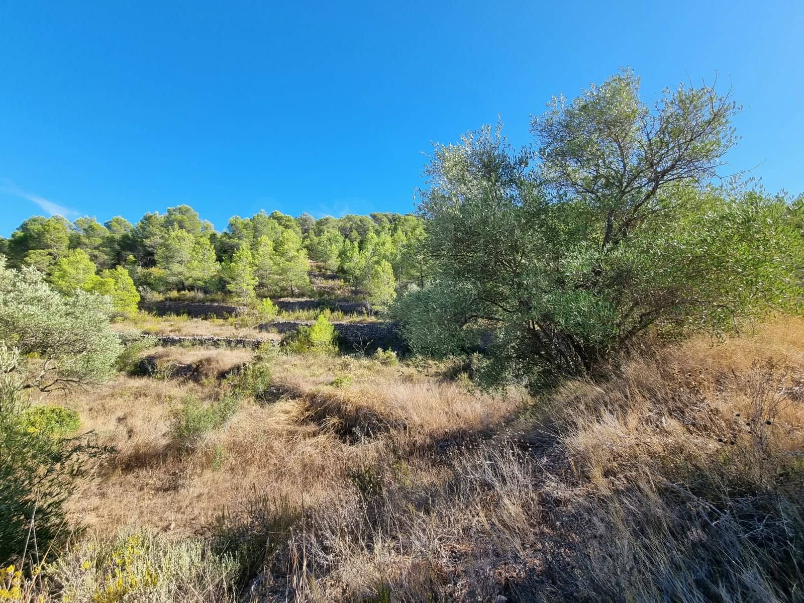 Terreno Não Urbanizado para venda em El Pinell de Brai - 20 000 € (Ref: 10071030)