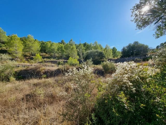 Grond te koop in El Pinell de Brai - € 20.000 (Ref: 10071030)
