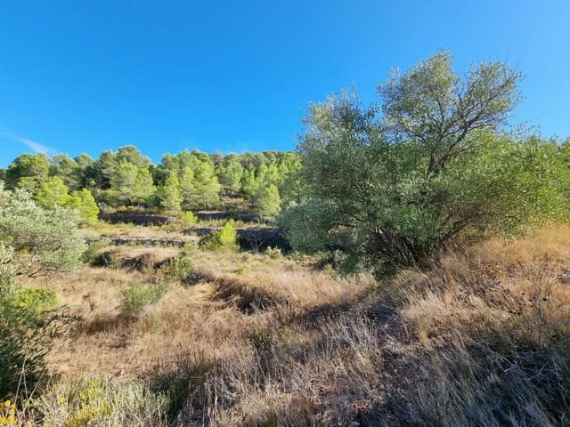 Grond te koop in El Pinell de Brai - € 20.000 (Ref: 10071030)