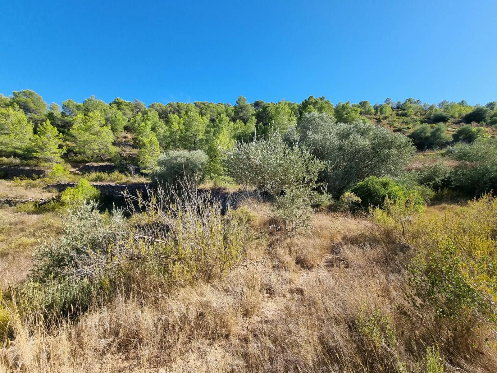 Terreno Não Urbanizado para venda em El Pinell de Brai - 20 000 € (Ref: 10071030)