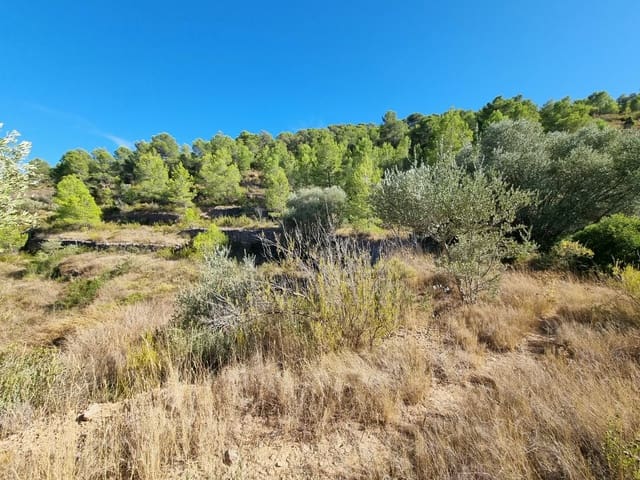 Grond te koop in El Pinell de Brai - € 20.000 (Ref: 10071030)
