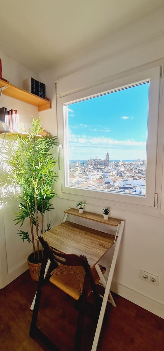 1 camera da letto Attico in vendita in Malaga citta - 309.000 € (Rif: 10073260)