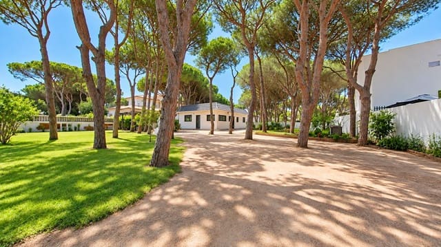 Casa de 3 habitaciones en Chiclana de la Frontera en venta - 650.000 € (Ref: 10074804)