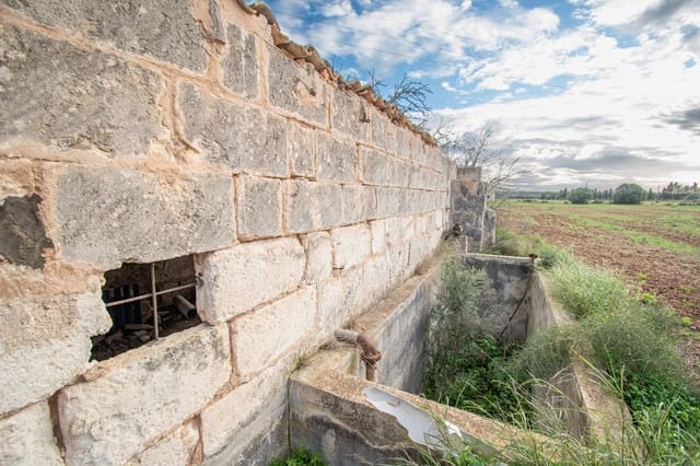 Landgrundstück zu verkaufen in Llubí - 135.000 € (Ref: 10077395)