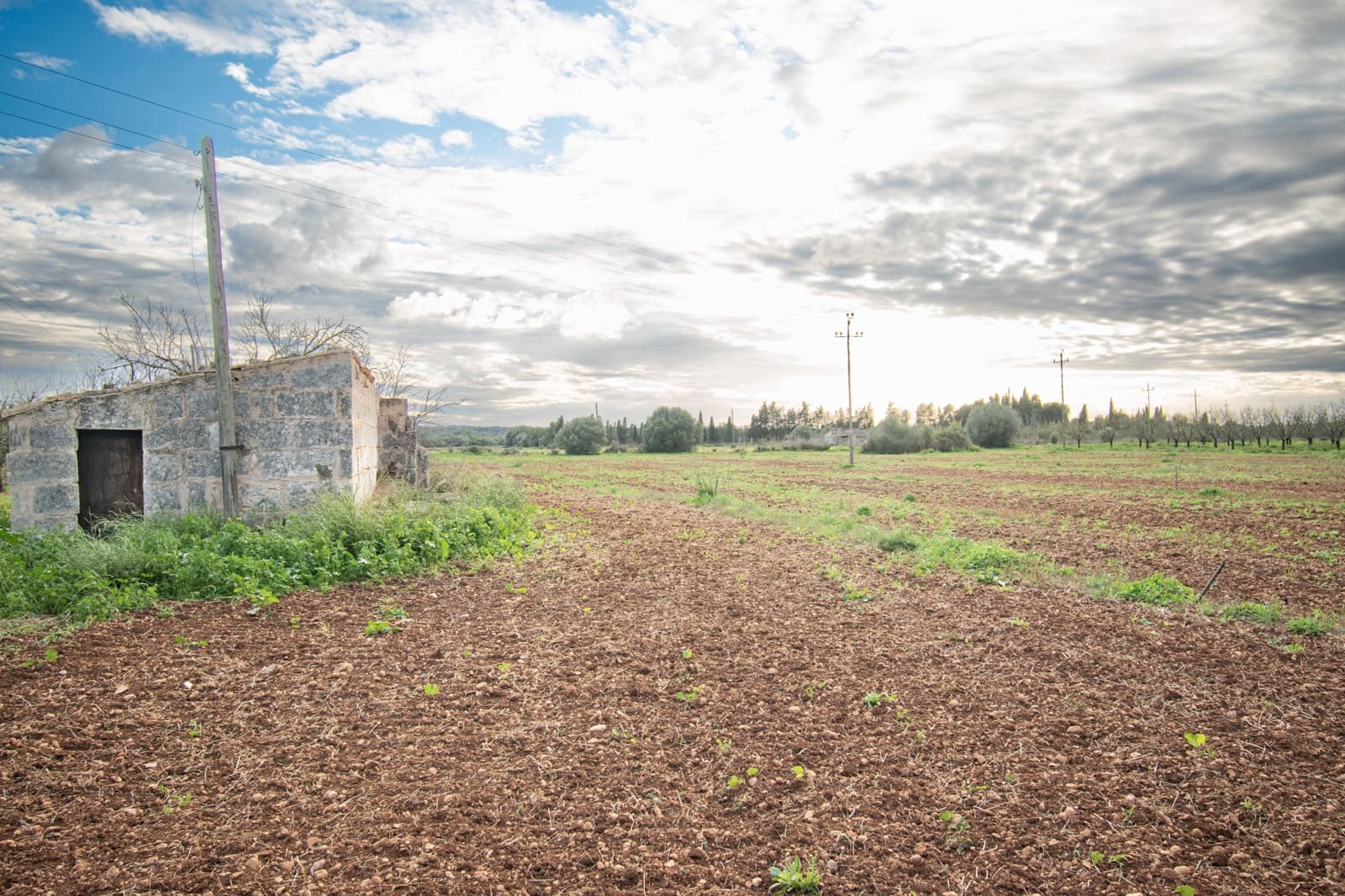 Terreno Não Urbanizado para venda em Llubi - 135 000 € (Ref: 10077395)