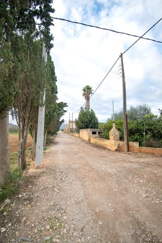 Landgrundstück zu verkaufen in Llubí - 135.000 € (Ref: 10077395)