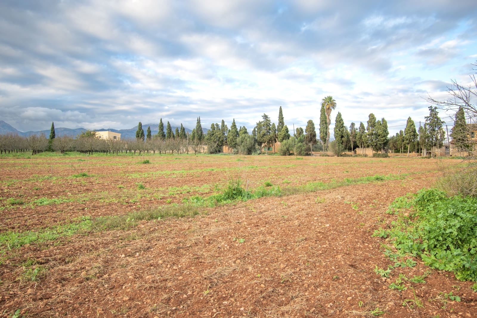 Terreno Não Urbanizado para venda em Llubi - 135 000 € (Ref: 10077395)