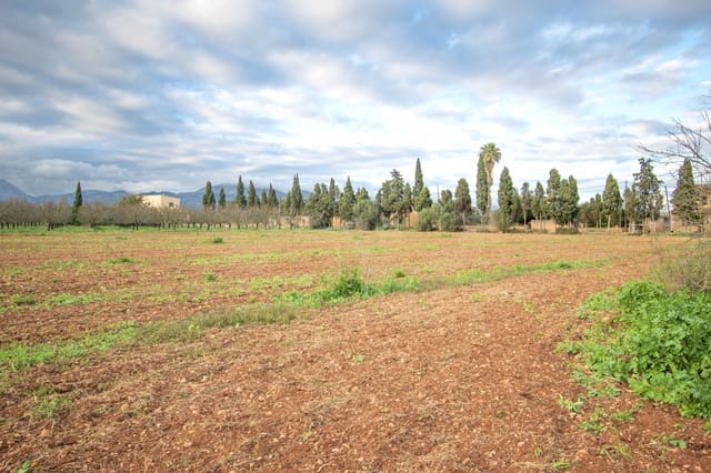 Landgrundstück zu verkaufen in Llubí - 135.000 € (Ref: 10077395)