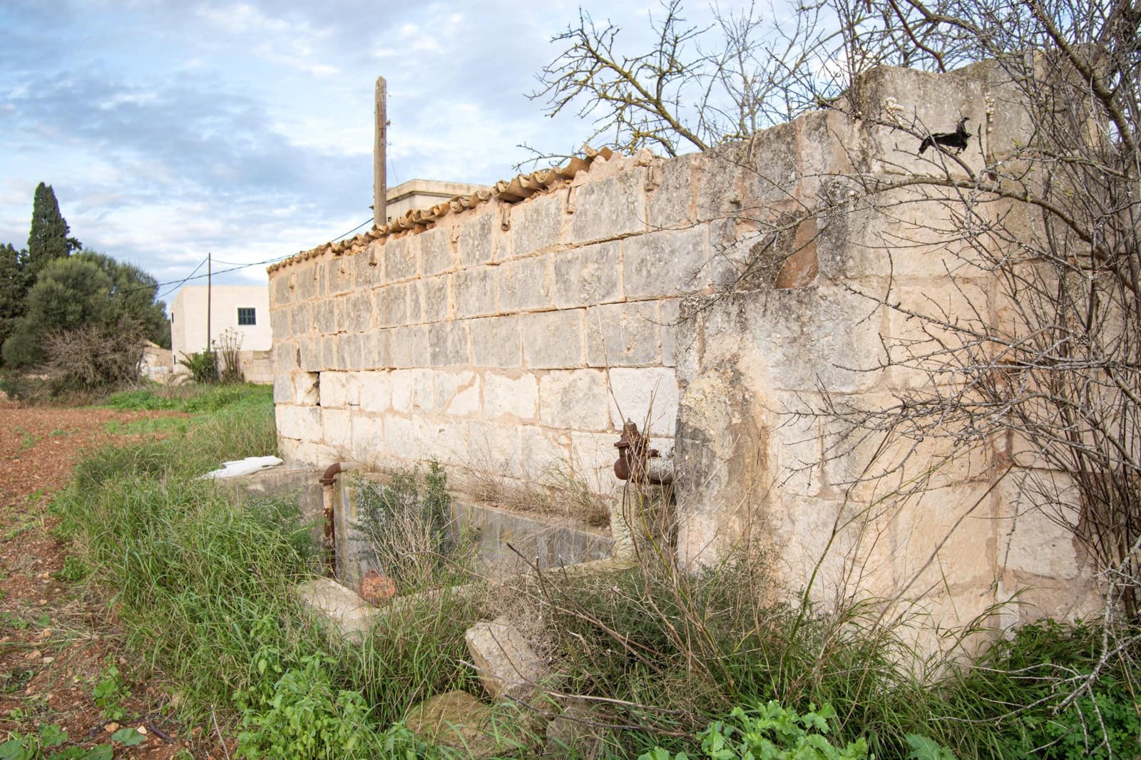 Terreno Não Urbanizado para venda em Llubi - 135 000 € (Ref: 10077395)