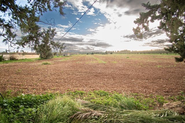 Landgrundstück zu verkaufen in Llubí - 135.000 € (Ref: 10077395)