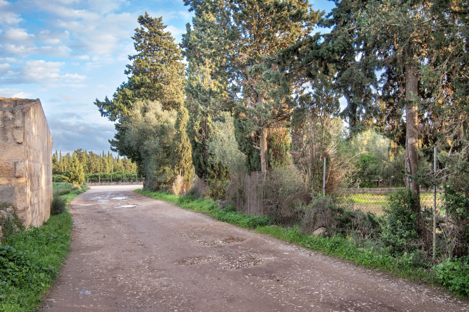Terreno Não Urbanizado para venda em Llubi - 135 000 € (Ref: 10077395)