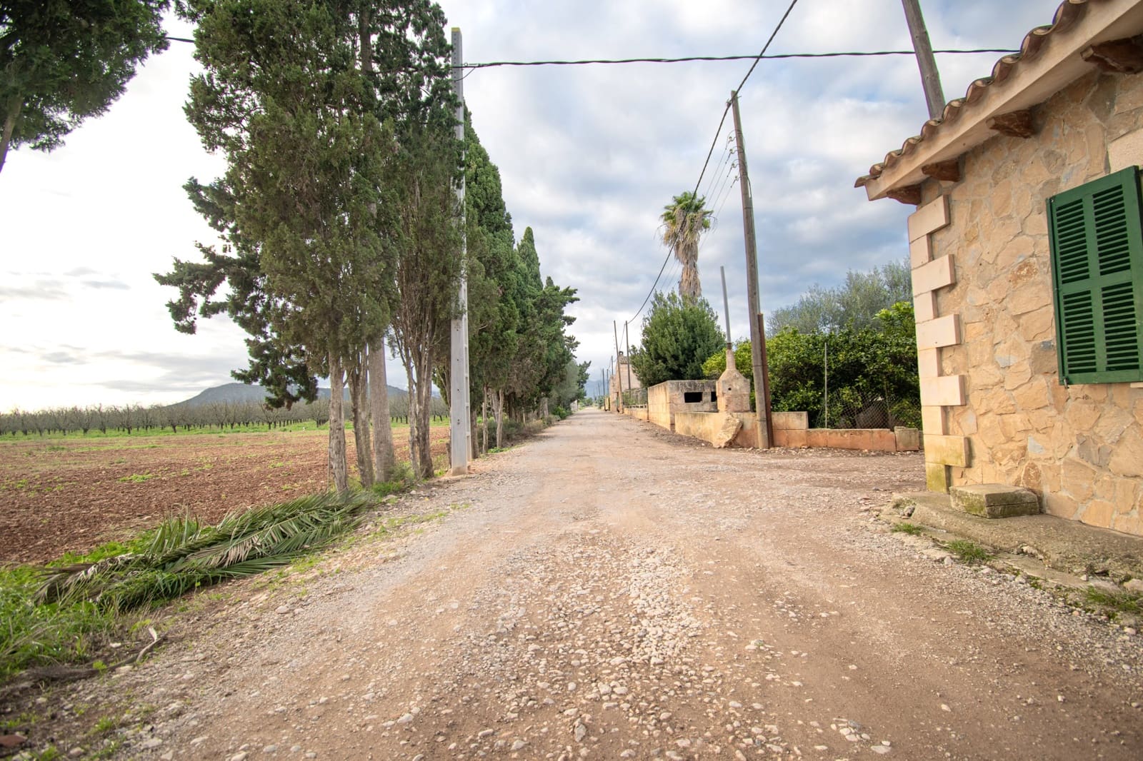 Terreno Não Urbanizado para venda em Llubi - 135 000 € (Ref: 10077395)