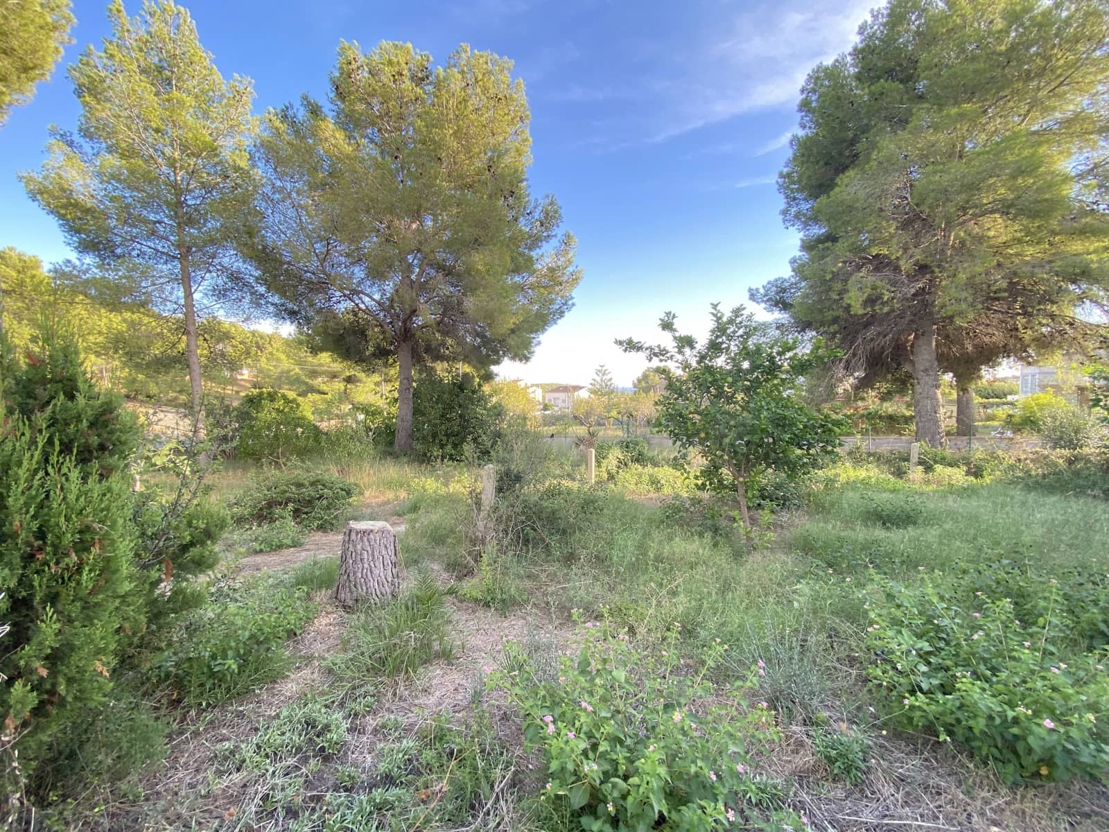 Bauplatz zu verkaufen in El Vendrell - 59.000 € (Ref: 10079988)