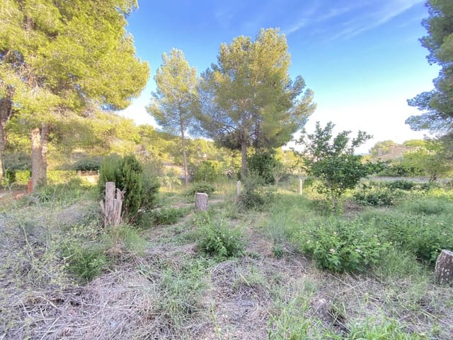 Bauplatz zu verkaufen in El Vendrell - 59.000 € (Ref: 10079988)