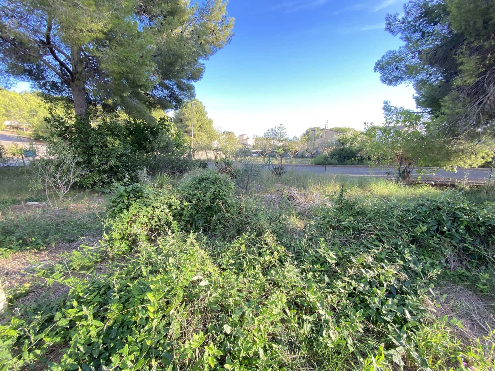 Bauplatz zu verkaufen in El Vendrell - 59.000 € (Ref: 10079988)
