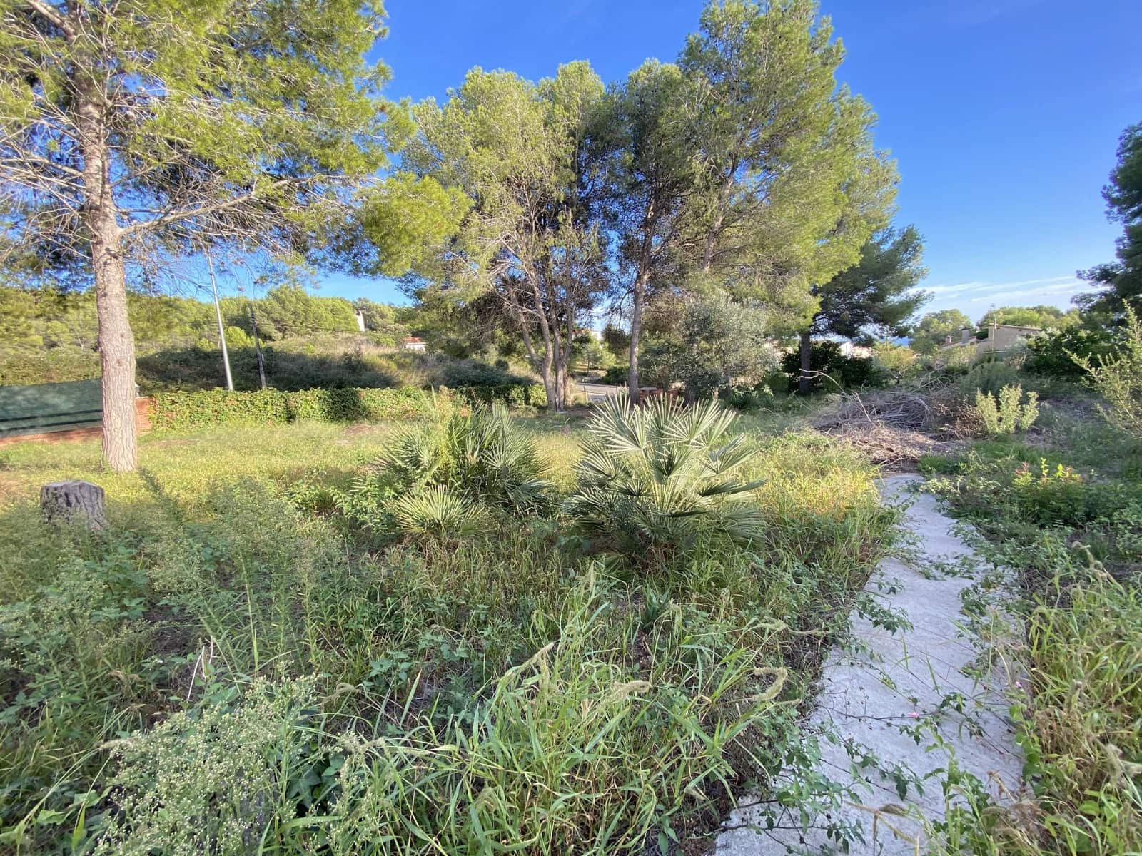 Bauplatz zu verkaufen in El Vendrell - 59.000 € (Ref: 10079988)