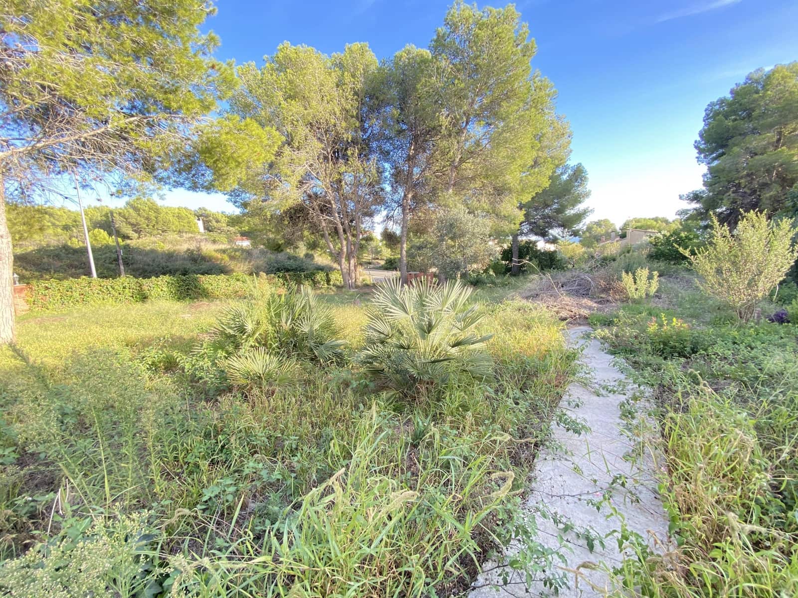 Byggegrund til salg i El Vendrell - € 69.000 (Ref: 10079993)
