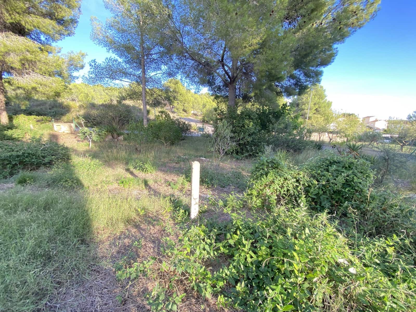 Byggegrund til salg i El Vendrell - € 69.000 (Ref: 10079993)