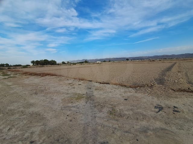 Landgrundstück zu verkaufen in Lorca - 80.000 € (Ref: 10080287)
