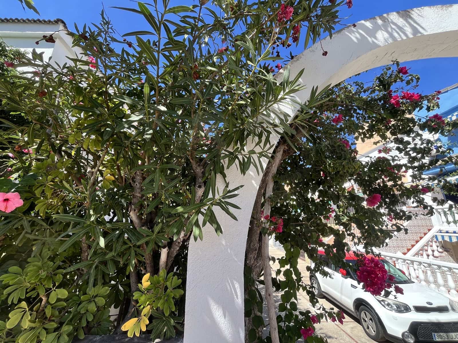 3 quarto Moradia em Banda para venda em Oropesa  - 176 000 € (Ref: 10081094)