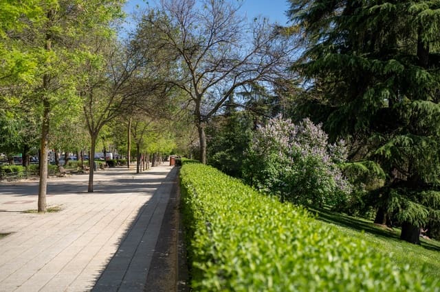2 makuuhuone Huoneisto myytävänä paikassa Argüelles, Madrid kaupunki - 1 150 000 € (Ref: 10085048)