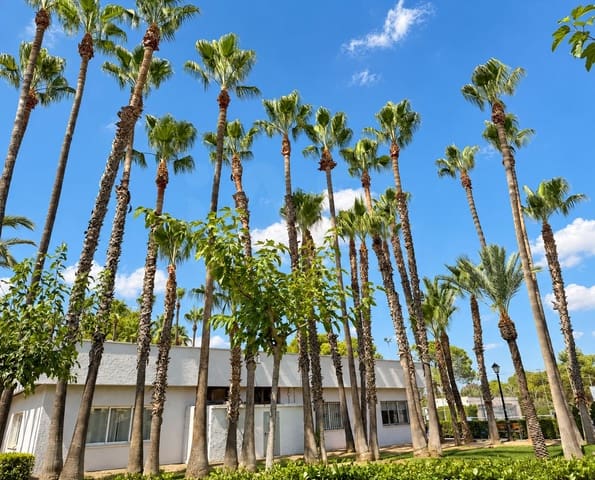 3 camera da letto Casa in vendita in Bétera con piscina garage - 485.000 € (Rif: 10085049)