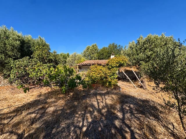 Terreno/Finca Rústica en Riba-roja d'Ebre en venta - 42.000 € (Ref: 10085411)