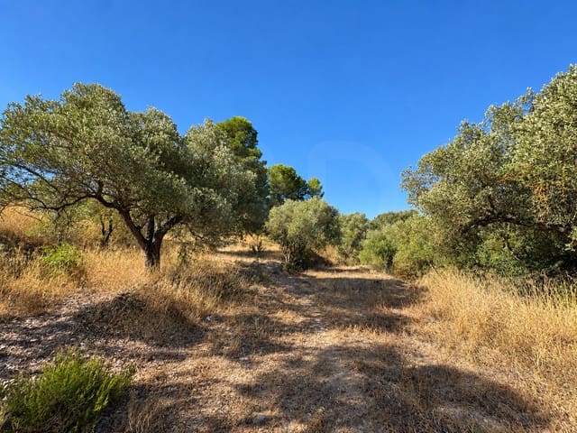 Terreno/Finca Rústica en Riba-roja d'Ebre en venta - 42.000 € (Ref: 10085411)