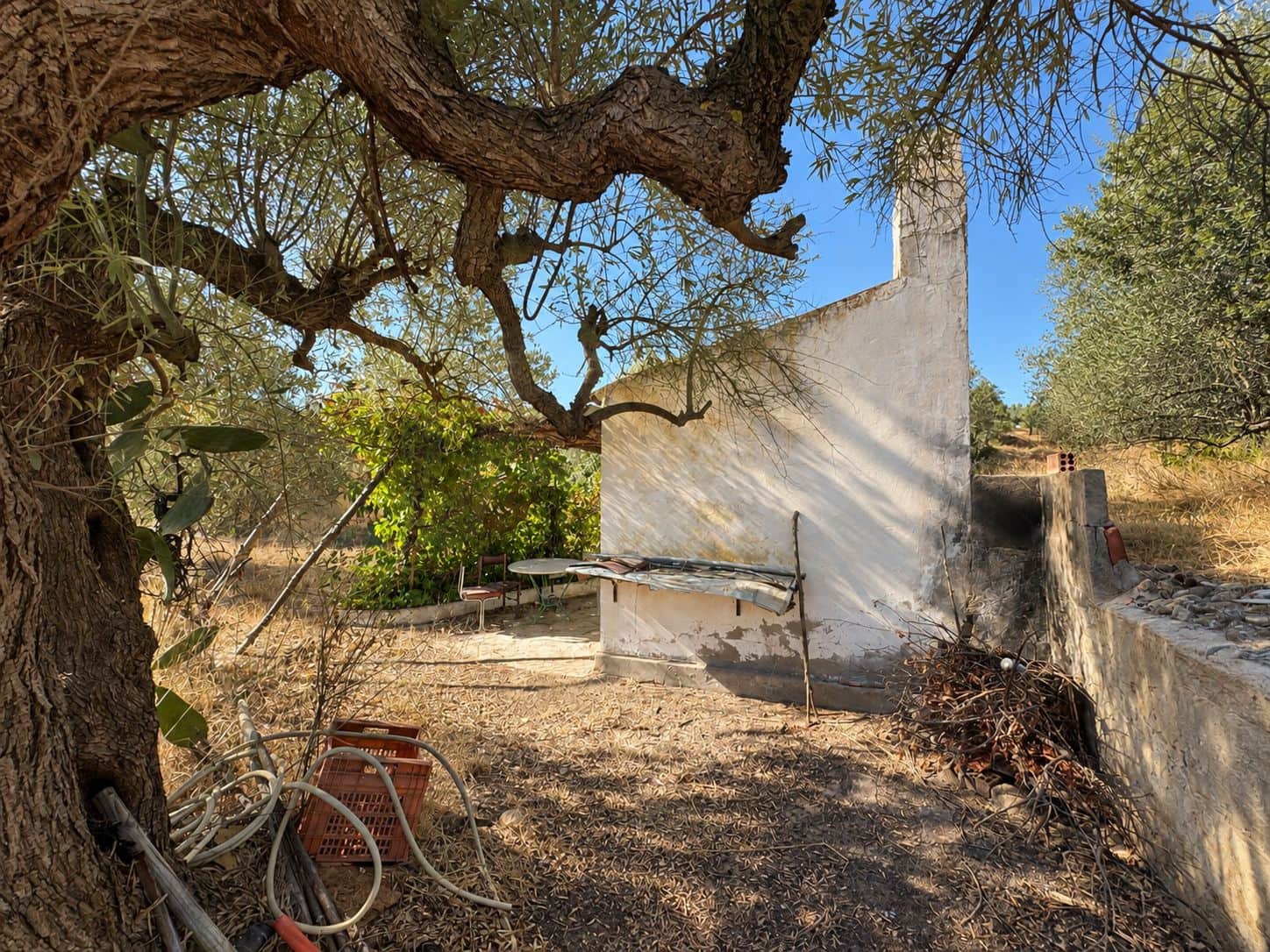 Terreno/Finca Rústica en Riba-roja d'Ebre en venta - 42.000 € (Ref: 10085411)