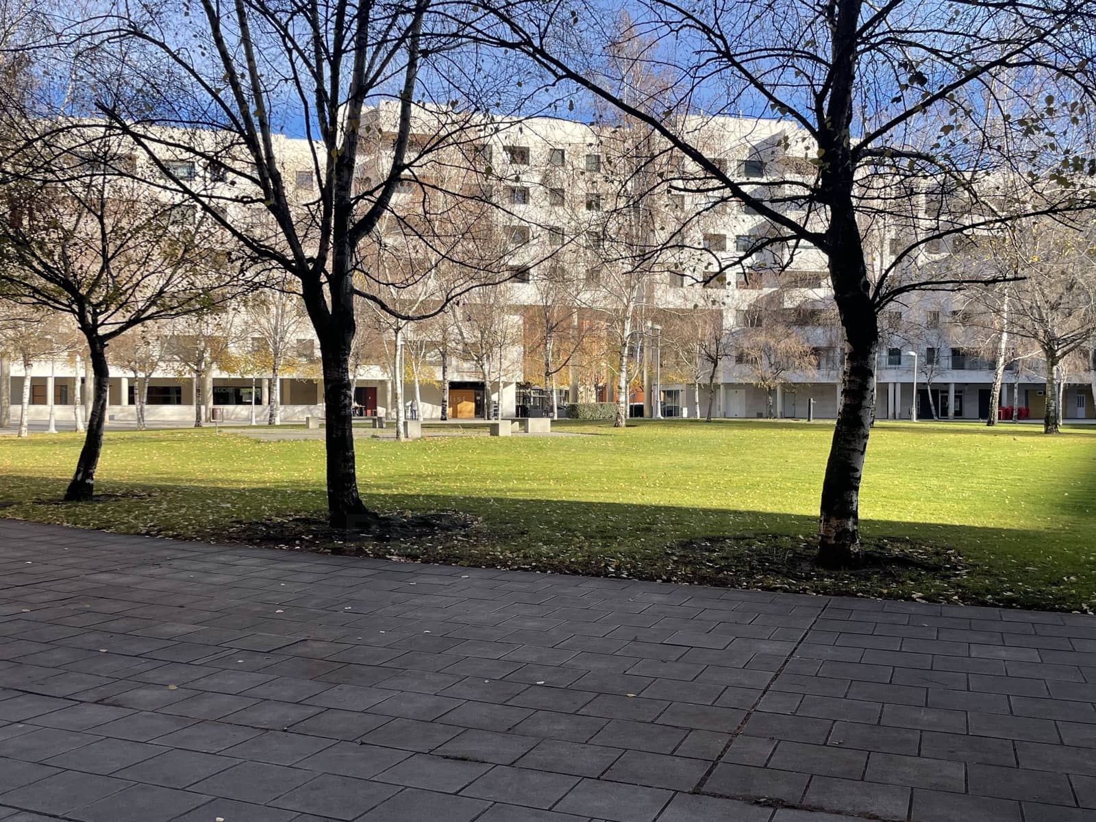 Commercial for sale in Leon city - € 94,000 (Ref: 10086766)