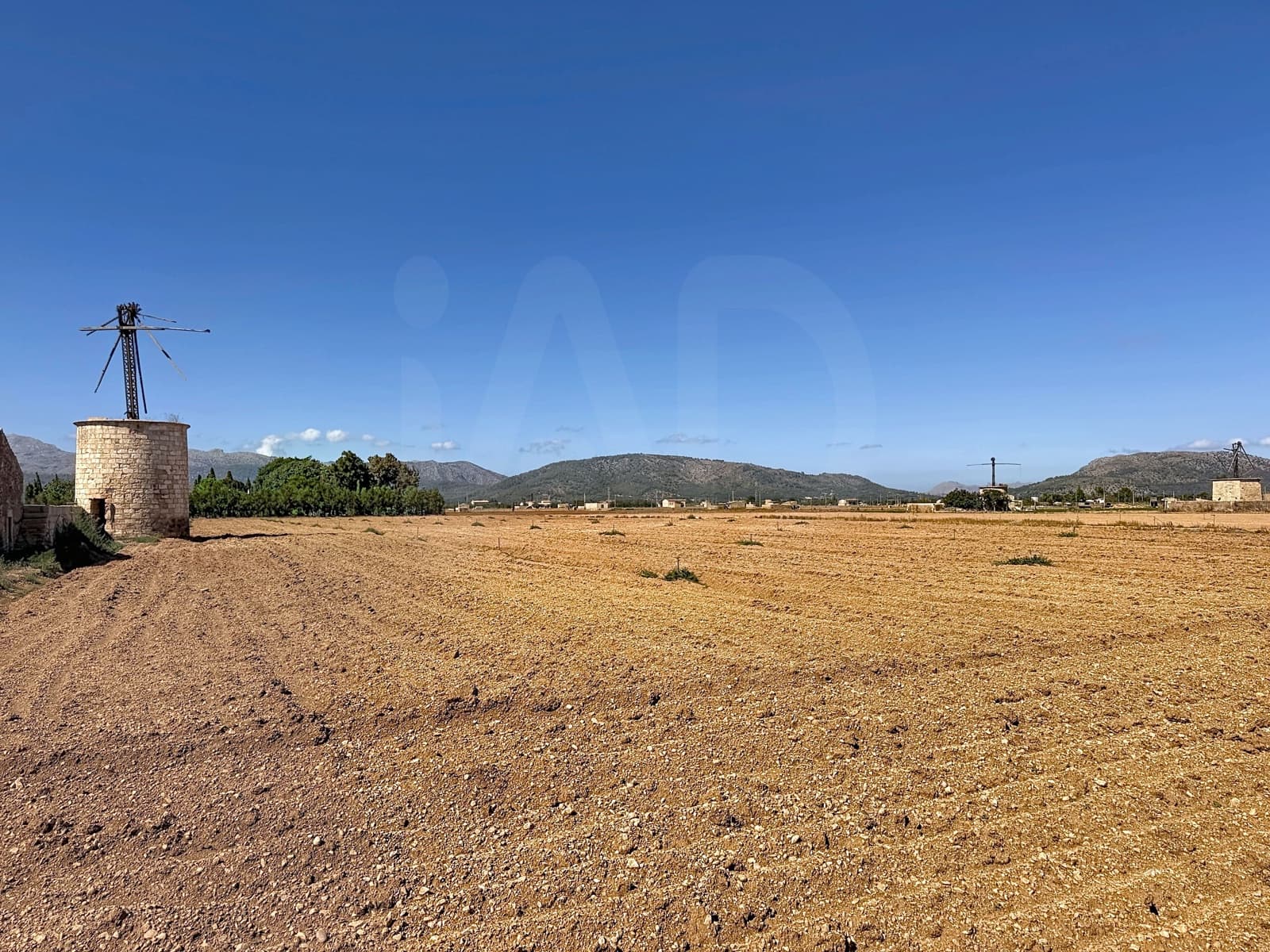 Undeveloped Land for sale in Sa Pobla - € 235,000 (Ref: 10088753)