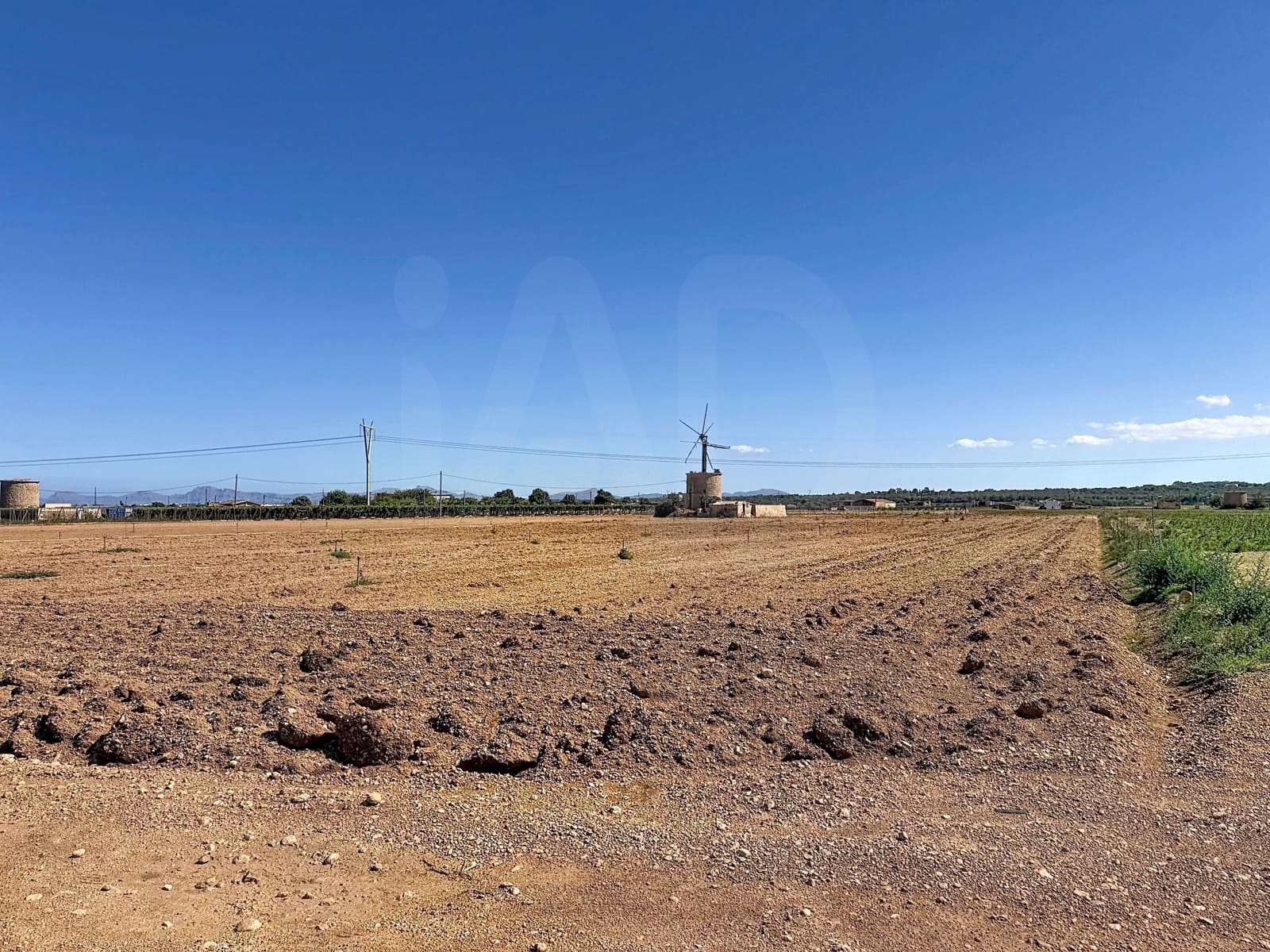 Undeveloped Land for sale in Sa Pobla - € 235,000 (Ref: 10088753)
