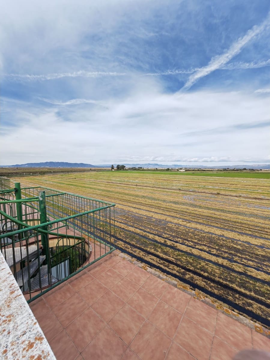 Apartamento de 2 habitaciones en Amposta en venta con garaje - 132.000 € (Ref: 10088763)