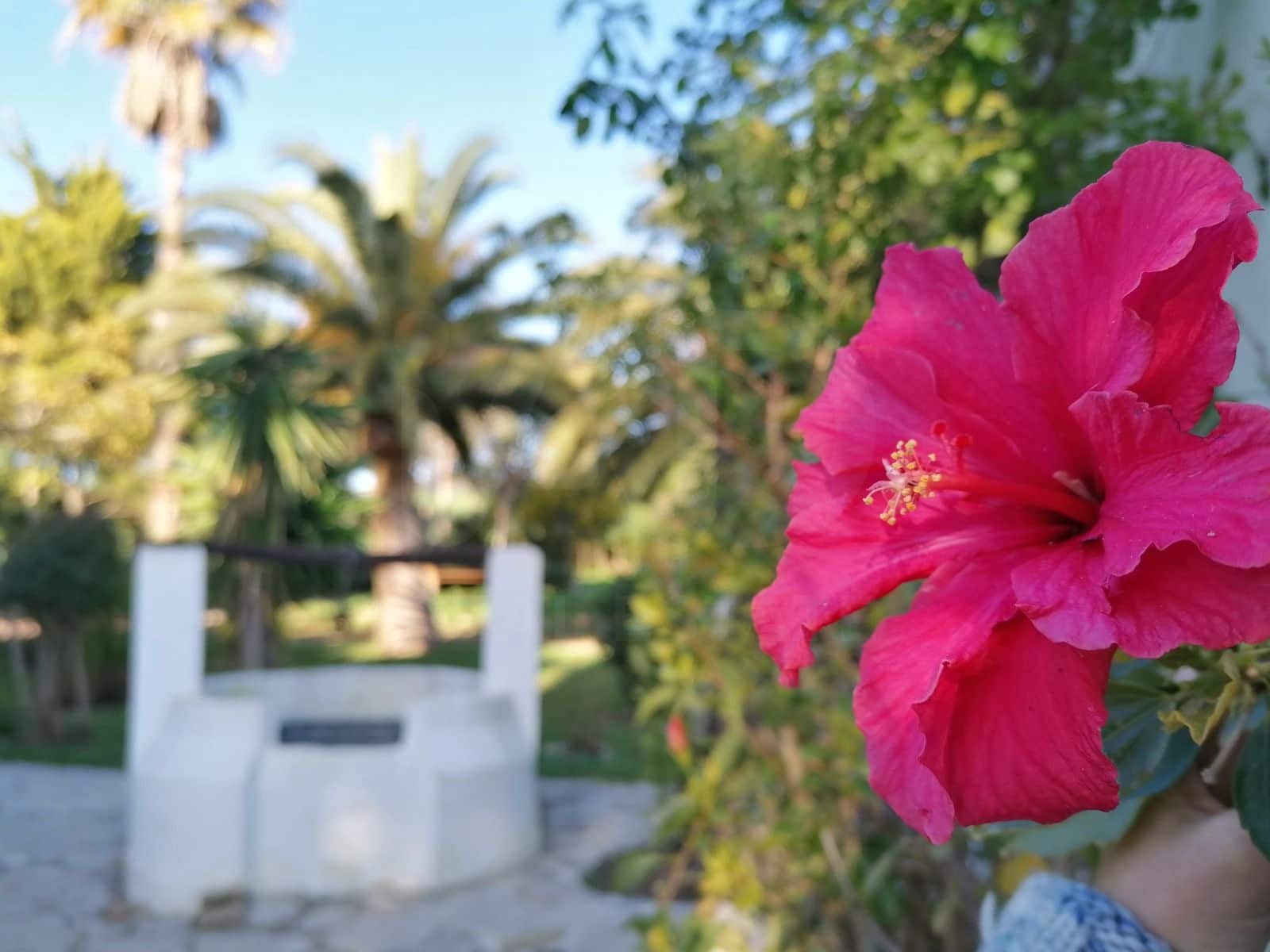 7 bedroom Townhouse for sale in Tarifa with garage - € 880,000 (Ref: 10094084)