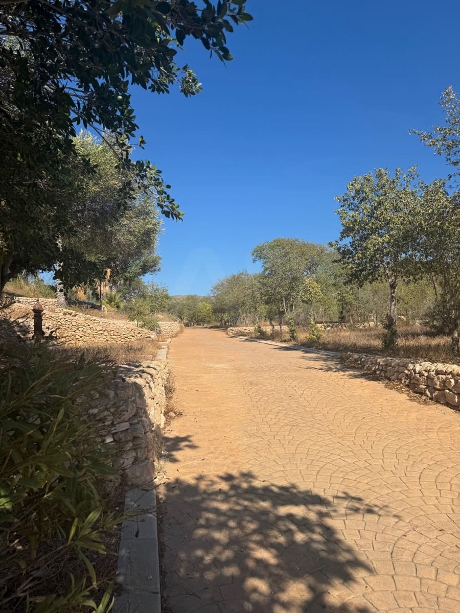 3 quarto Moradia em Banda para venda em El Campello com piscina garagem - 695 000 € (Ref: 10094088)