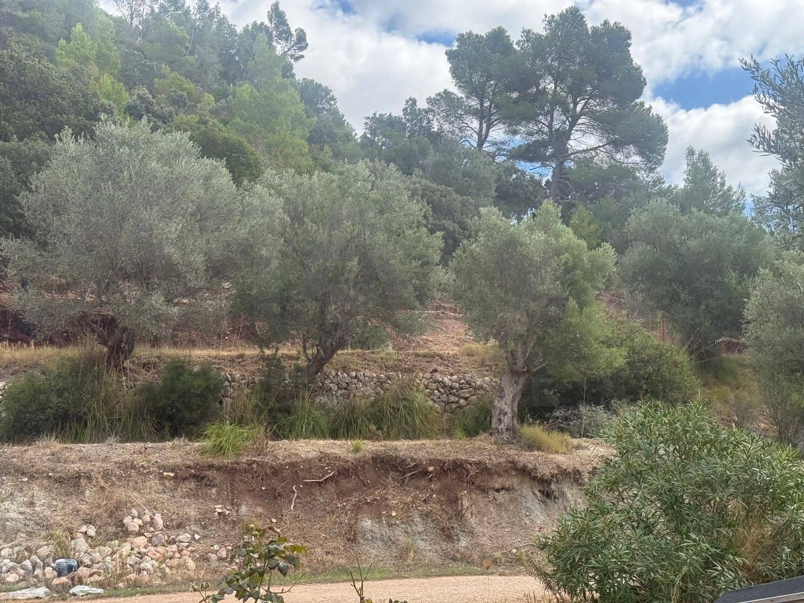 2 soverom Hus til salgs i Esporles - € 1 060 000 (Ref: 10094092)