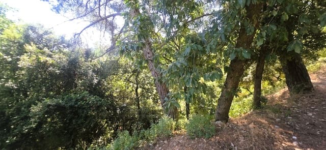 Teren niezagospodarowany na sprzedaż w Sant Cugat del Vallès - 230 000 € (Ref: 10095546)