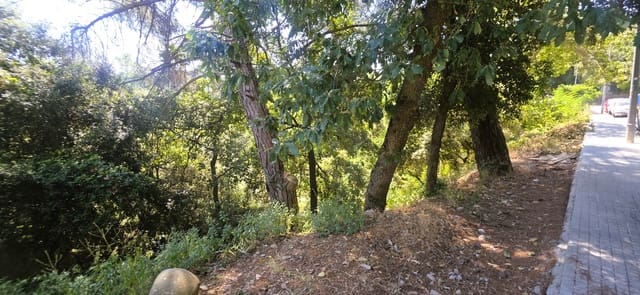 Teren niezagospodarowany na sprzedaż w Sant Cugat del Vallès - 230 000 € (Ref: 10095546)