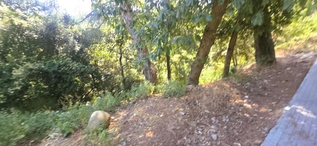 Teren niezagospodarowany na sprzedaż w Sant Cugat del Vallès - 230 000 € (Ref: 10095546)