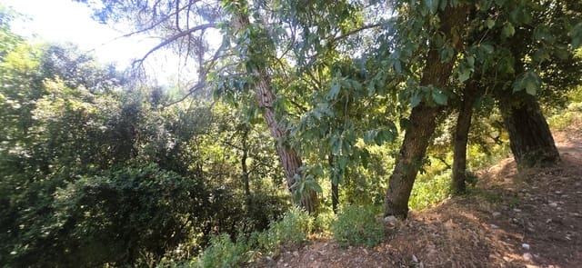 Grond te koop in Sant Cugat del Vallès - € 230.000 (Ref: 10095546)