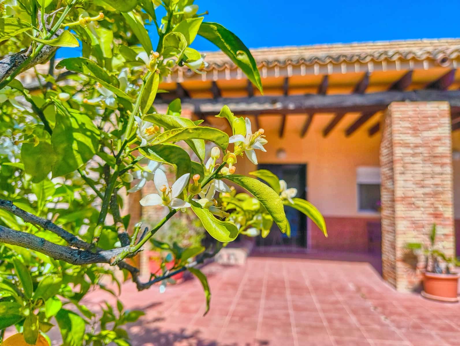 5 sypialnia Dom na sprzedaż w Las Bayas z basenem garażem - 649 000 € (Ref: 10099588)