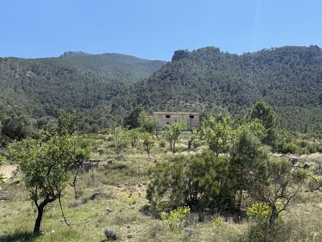 Grunde uden byggetilladelser til salg i Cieza - € 189.000 (Ref: 10101218)