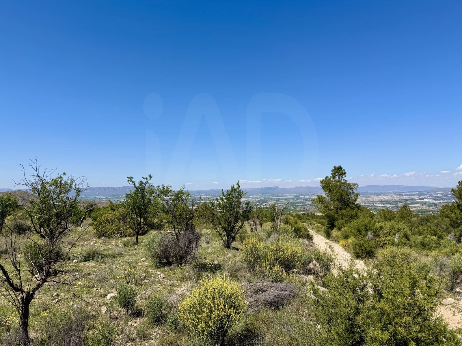 Grunde uden byggetilladelser til salg i Cieza - € 189.000 (Ref: 10101218)