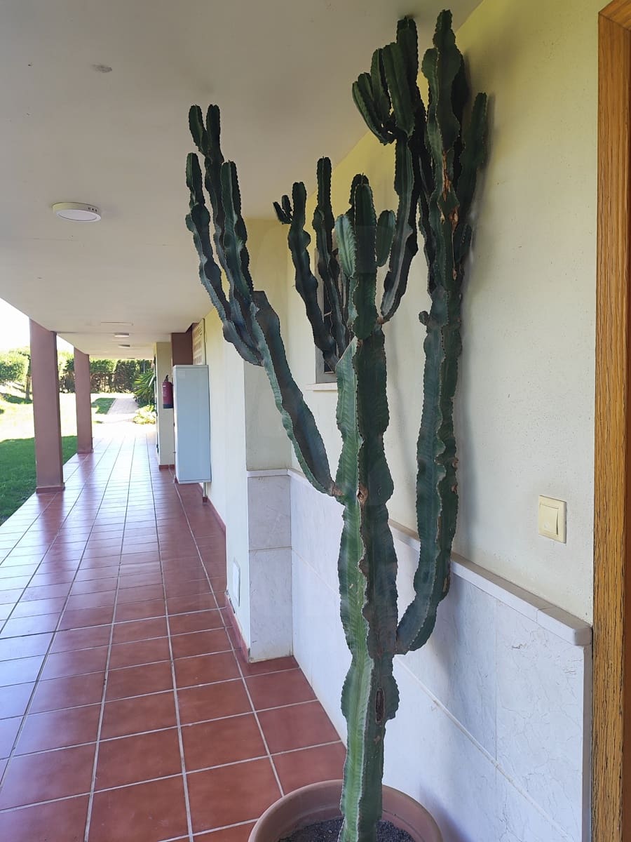 3 camera da letto Appartamento in vendita in Velez-Malaga con piscina garage - 380.000 € (Rif: 10101220)