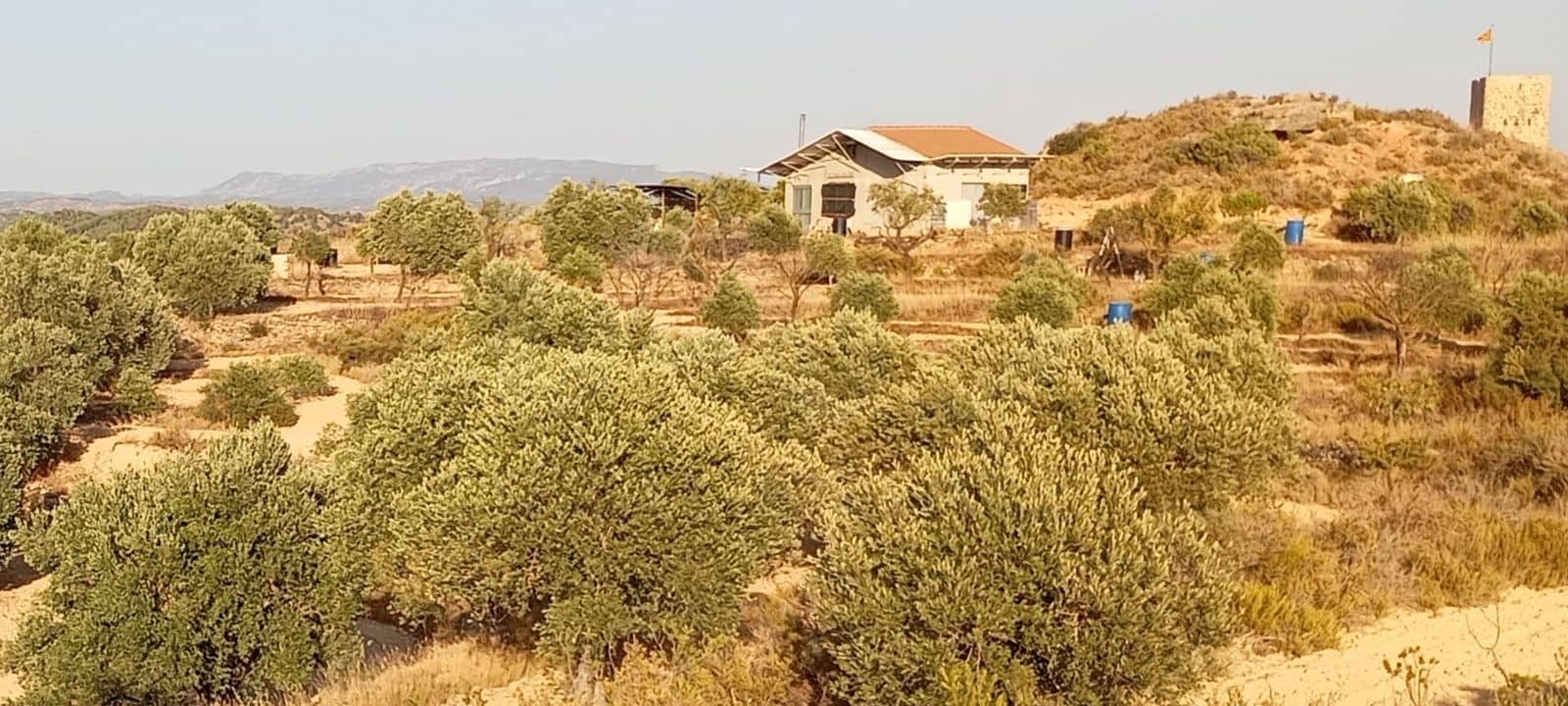 Finca/Casa Rural en Riba-roja d'Ebre en venta - 150.000 € (Ref: 10101221)